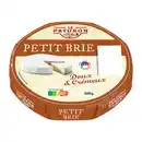 Bild 1 von LE PATURON Petit Brie