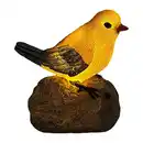 Bild 3 von BELAVI LED-Zwitschervogel