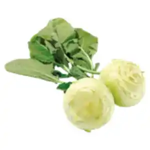 Deutscher Kohlrabi