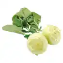 Bild 1 von Deutscher Kohlrabi