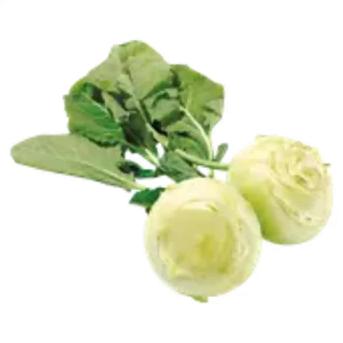 Bild 1 von Deutscher Kohlrabi