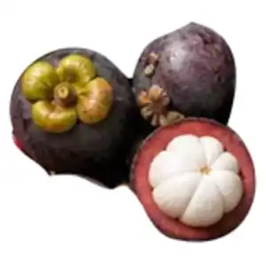 Mangosteen
