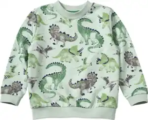 ALANA Sweatshirt mit Dino-Muster, grün, Gr. 92, 1 St