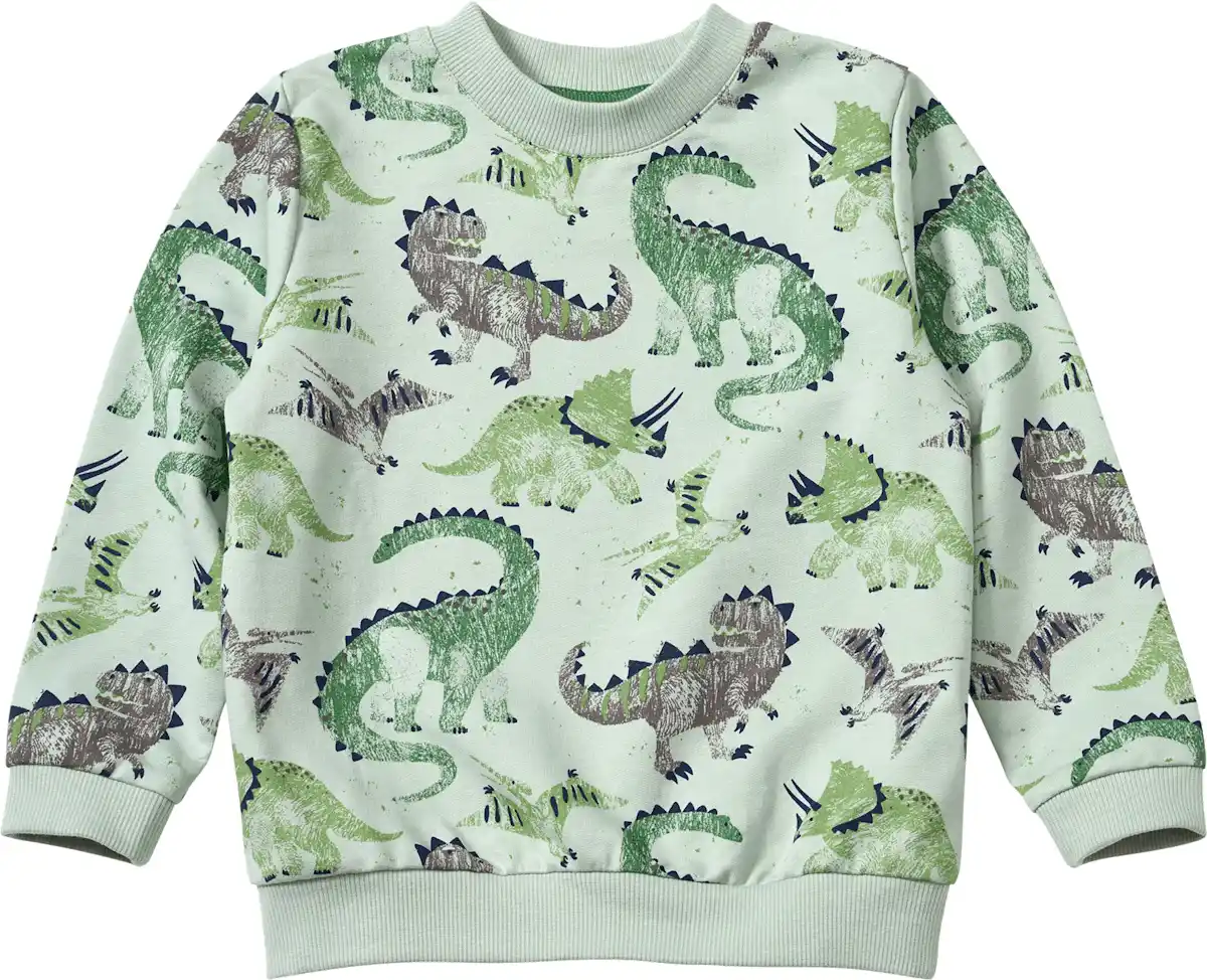 Bild 1 von ALANA Sweatshirt mit Dino-Muster, grün, Gr. 92, 1 St