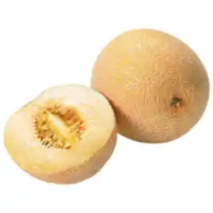Galiamelone