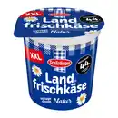 Bild 1 von SCHÄRDINGER Körniger Frischkäse XXL