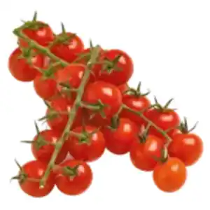 Mini-Romarispentomaten