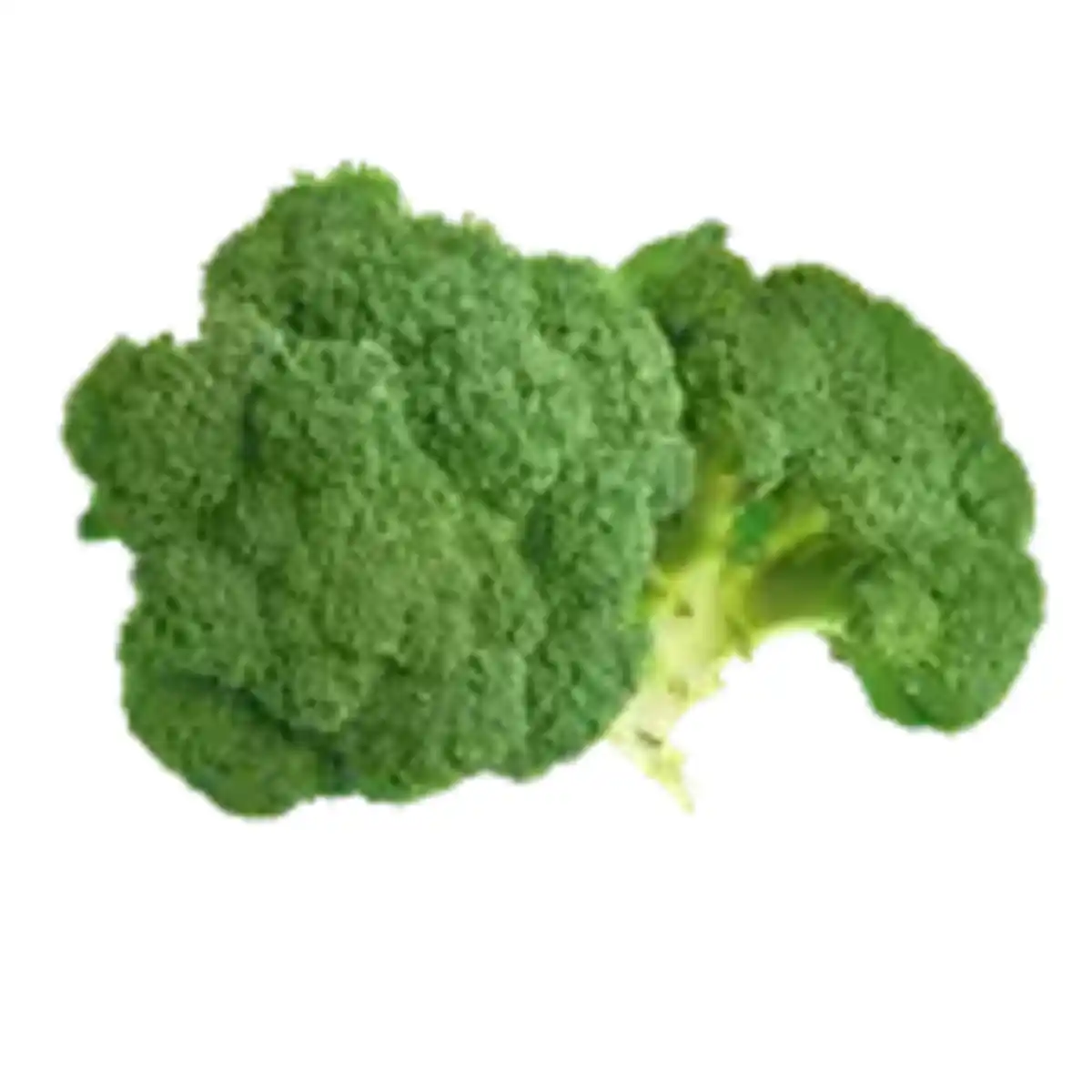 Bild 1 von GO Regio Deutscher Broccoli