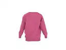 Bild 2 von LUPILU® Kleinkinder Sweathoodie / Sweatpullover »Paw Patrol / Der Dino Film«
