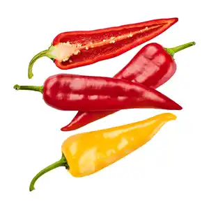 Gemüsespitzpaprika-Mix