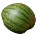Bild 1 von Miniwassermelone