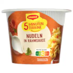 Maggi 5 Minuten Terrine Nudeln in Rahmsauce