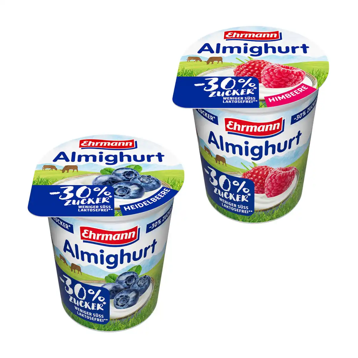 Bild 1 von EHRMANN Almighurt