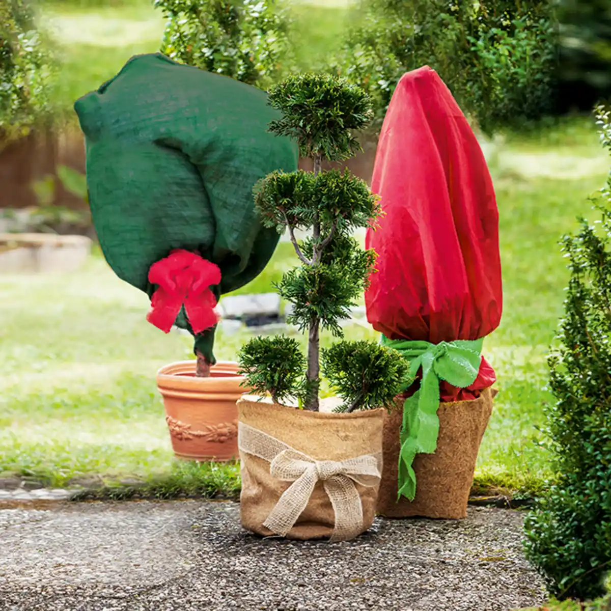 Bild 1 von Powertec Garden Winter-Pflanzenschutz