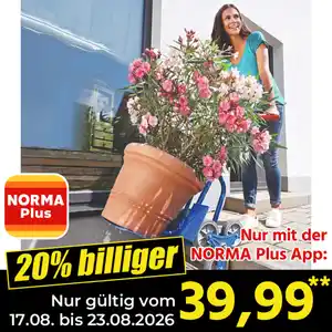 Kraft Werkzeuge Sicherheitsgeprüfte Treppen-Transportkarre