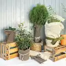 Bild 1 von Powertec Garden Schafwoll-Winterschutz