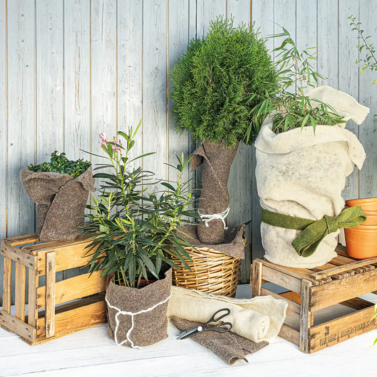 Bild 1 von Powertec Garden Schafwoll-Winterschutz