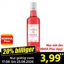 Bild 1 von Canesti Rosa Aperitivo
