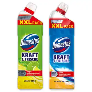 Domestos Kraft & Frische WC Gel