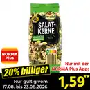 Bild 1 von Ardilla Salat-Kerne Mix