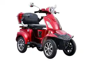 Seniorenmobil DENNIS 4.0 - 25 KM/H Lithium Bordeaux
