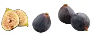 Feigen