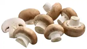 Champignon