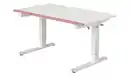Bild 1 von PAIDI Schreibtisch Teenio GT