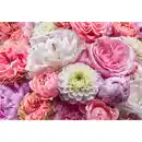 Bild 1 von Xora Fototapete, Mehrfarbig, Floral, 368x254 cm, Fsc, Tapeten & Wandverkleidungen, Fototapeten