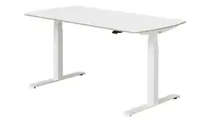 PAIDI Schreibtisch e-lion