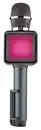 Bild 3 von SWITCH ON® Karaoke-Mikrofon
