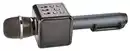 Bild 1 von SWITCH ON® Karaoke-Mikrofon
