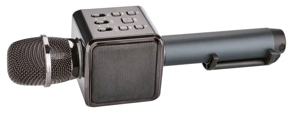 Bild 1 von SWITCH ON® Karaoke-Mikrofon