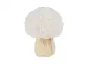 Bild 1 von Kleiner Deko-Pilz mit Teddyfell