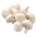 Bild 1 von Kulturchampignons weiß