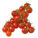 Bild 1 von Cherrytomaten Miss Perfect rot