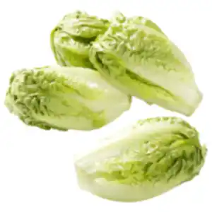 Römersalat »Extra fein«