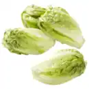 Bild 1 von Römersalat »Extra fein«