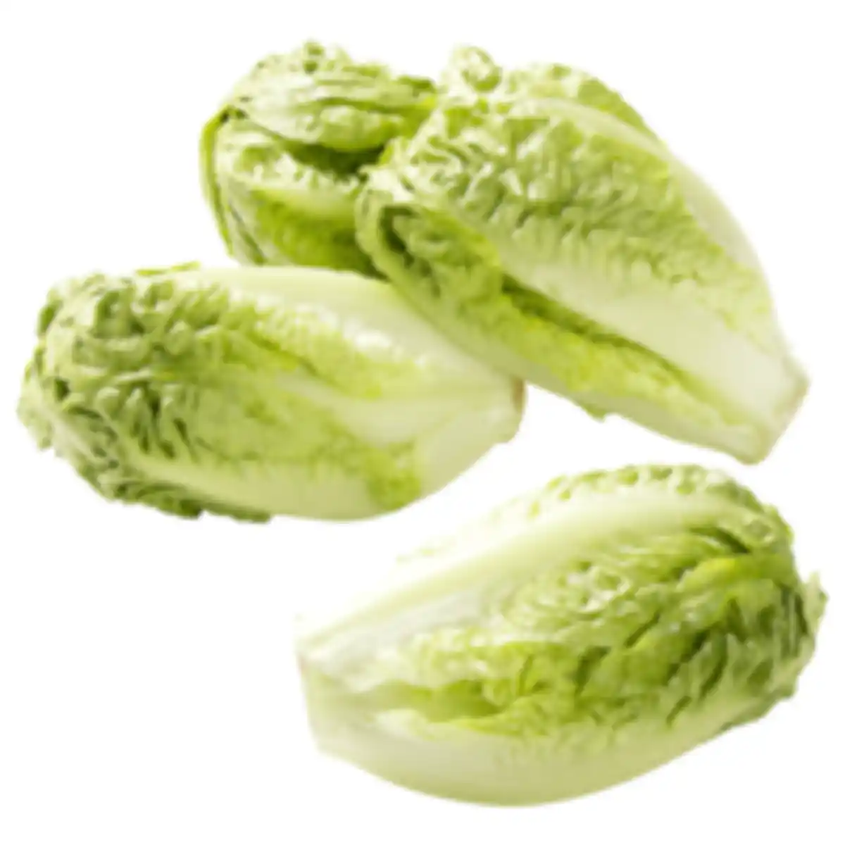 Bild 1 von Römersalat »Extra fein«