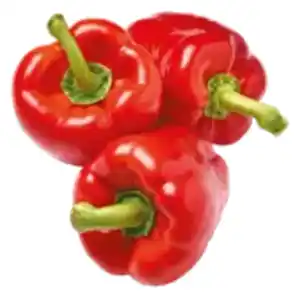 Paprika rot