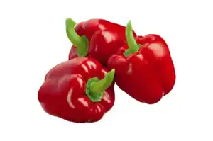 Paprika rot