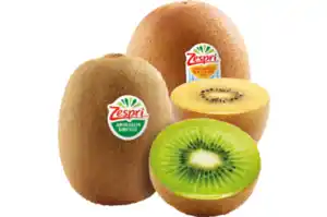 Zespri Jumbo Kiwi SunGold oder Green