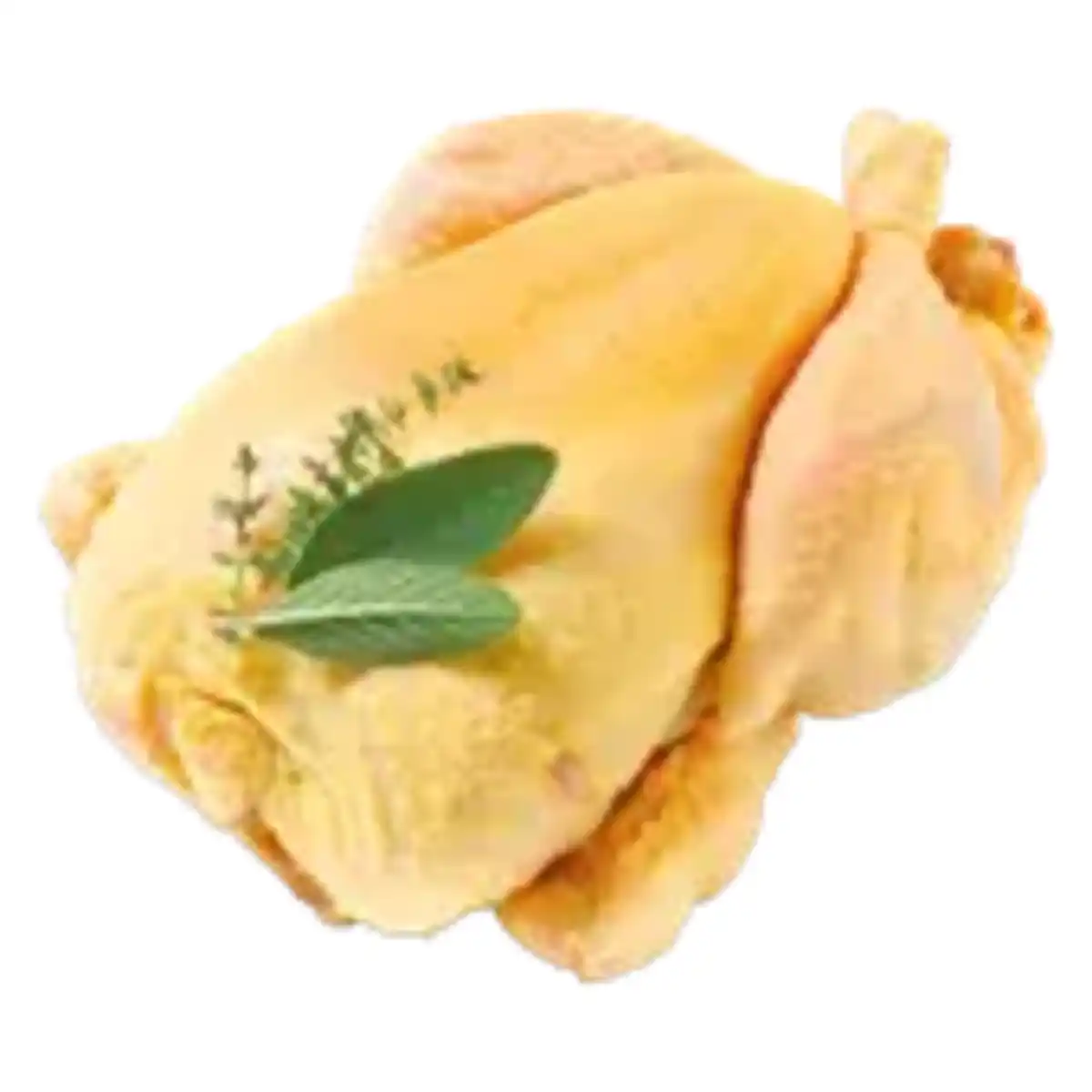 Bild 1 von Frisches spanisches Maishähnchen