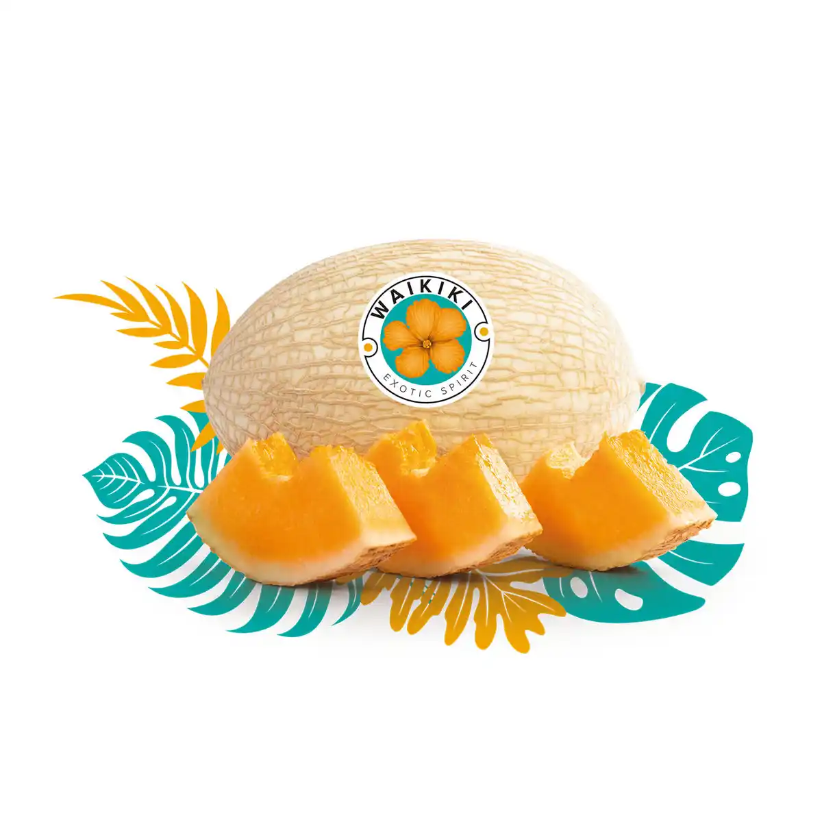 Bild 1 von Waikiki-Melone