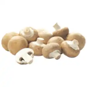 Braune Champignons