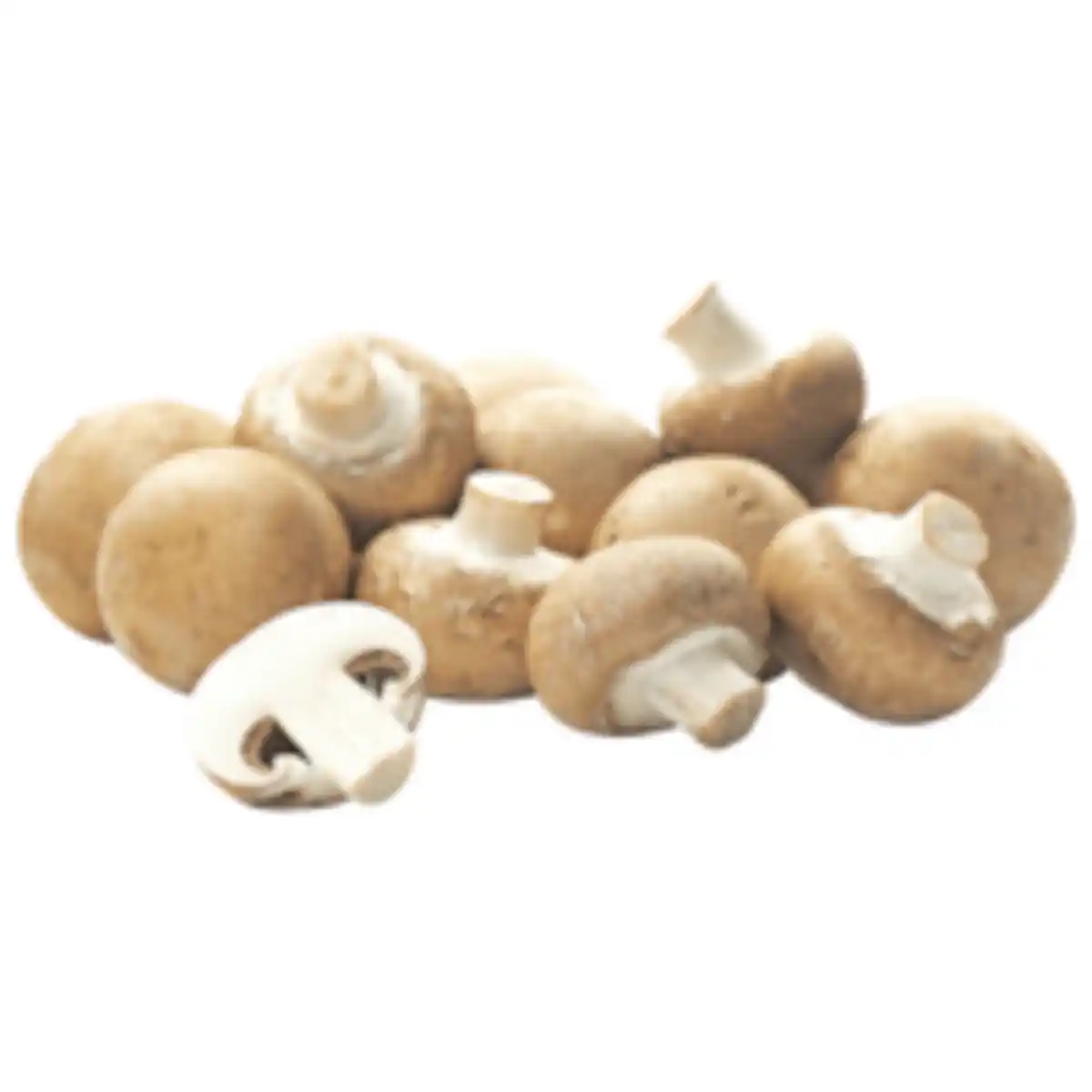 Bild 1 von Braune Champignons