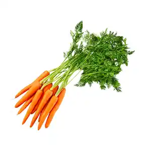 Bundmöhren