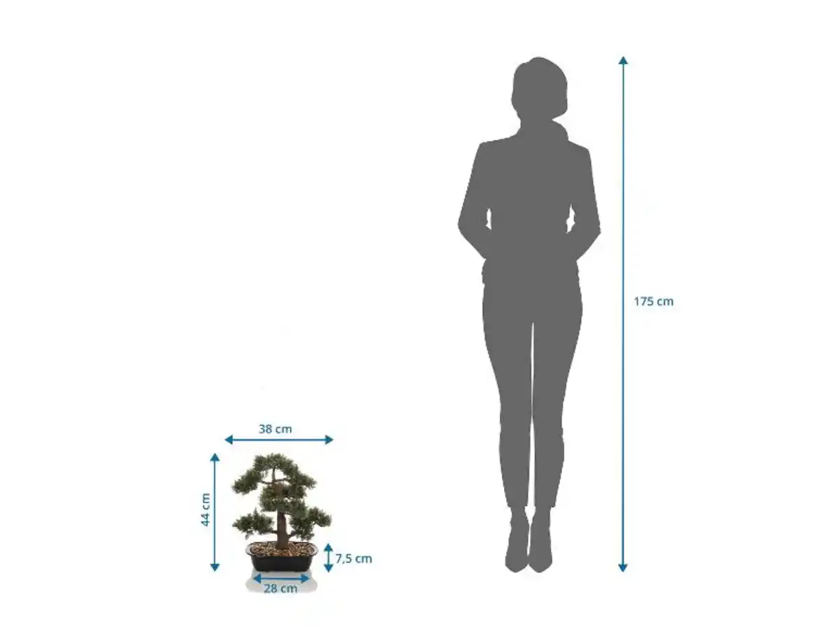 Bild 2 von HJH OFFICE Kunstpflanze / Kunstbaum BONSAI 44 cm