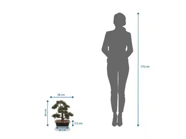 Bild 2 von HJH OFFICE Kunstpflanze / Kunstbaum BONSAI 44 cm
