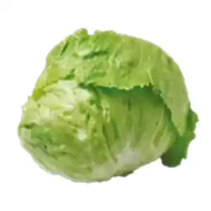 Deutscher Eisbergsalat